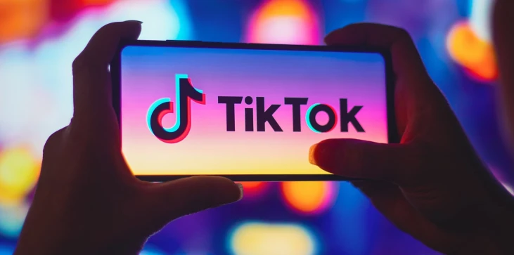 TikTok telefon logosu